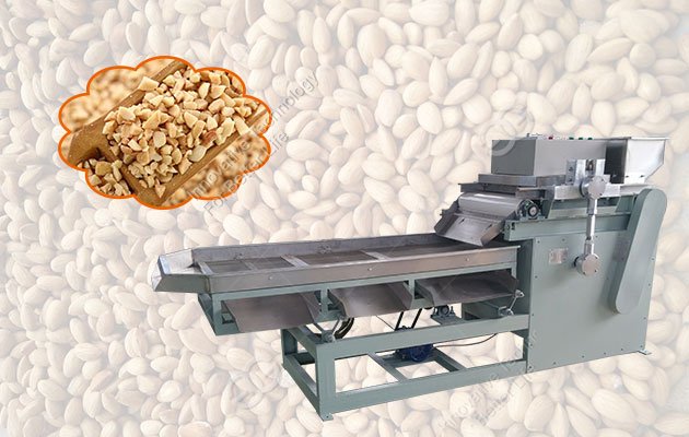 Small Capacity Peanut Crushing Machine Stainless Steel 100 kg/h