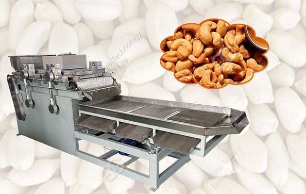Commercial Small Groundnut Crushing Machine 100 kg/h