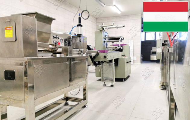 Automatic Nut Bar Production Line in Hungary