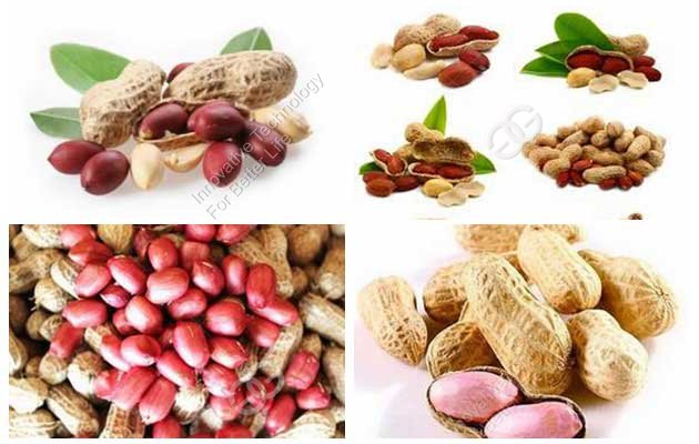How Much You Know About Peanut?