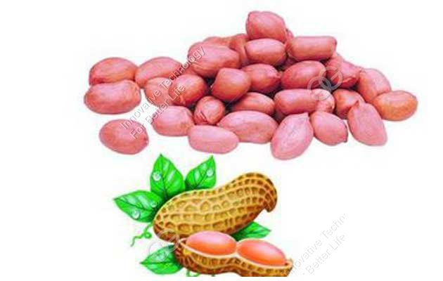The Effect and Function of Peanut