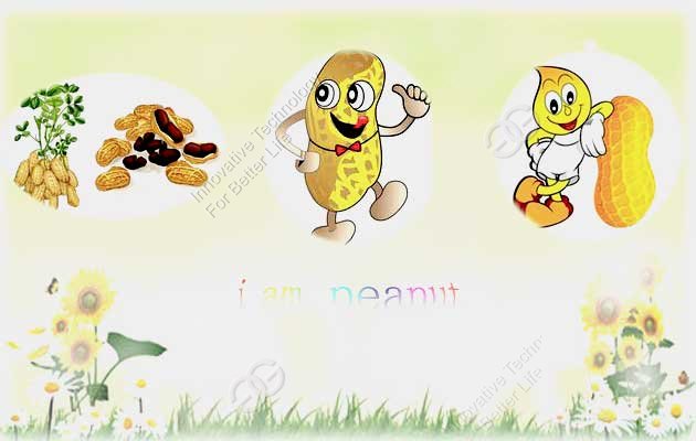What Are The Benefits Of Peanuts?