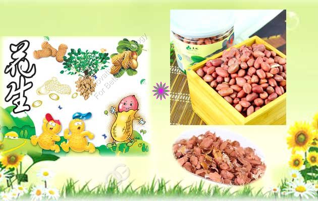 How Much You Know About Peanut Nutritional?